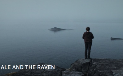 Film Screening: The Whale & The Raven- Tues. Nov 5th . 7pm at NIC