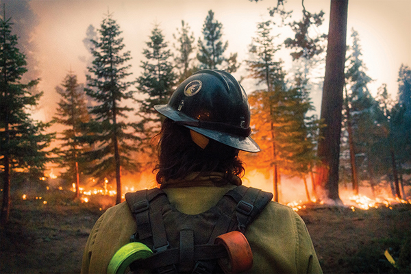 Wilder Than Wild: Fires, Forests & the Future – 3:00 pm UNS 57 min.